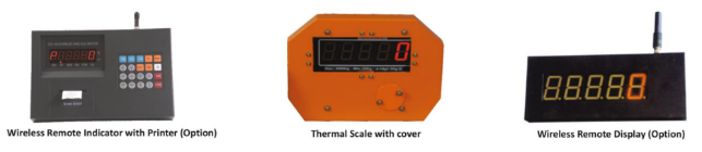 DS-315 Electronic Crane Scale