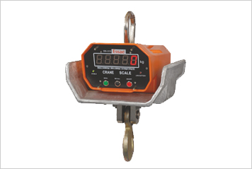 DS-315 Electronic Crane Scale
