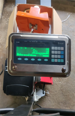 Electronic Weighing Systems